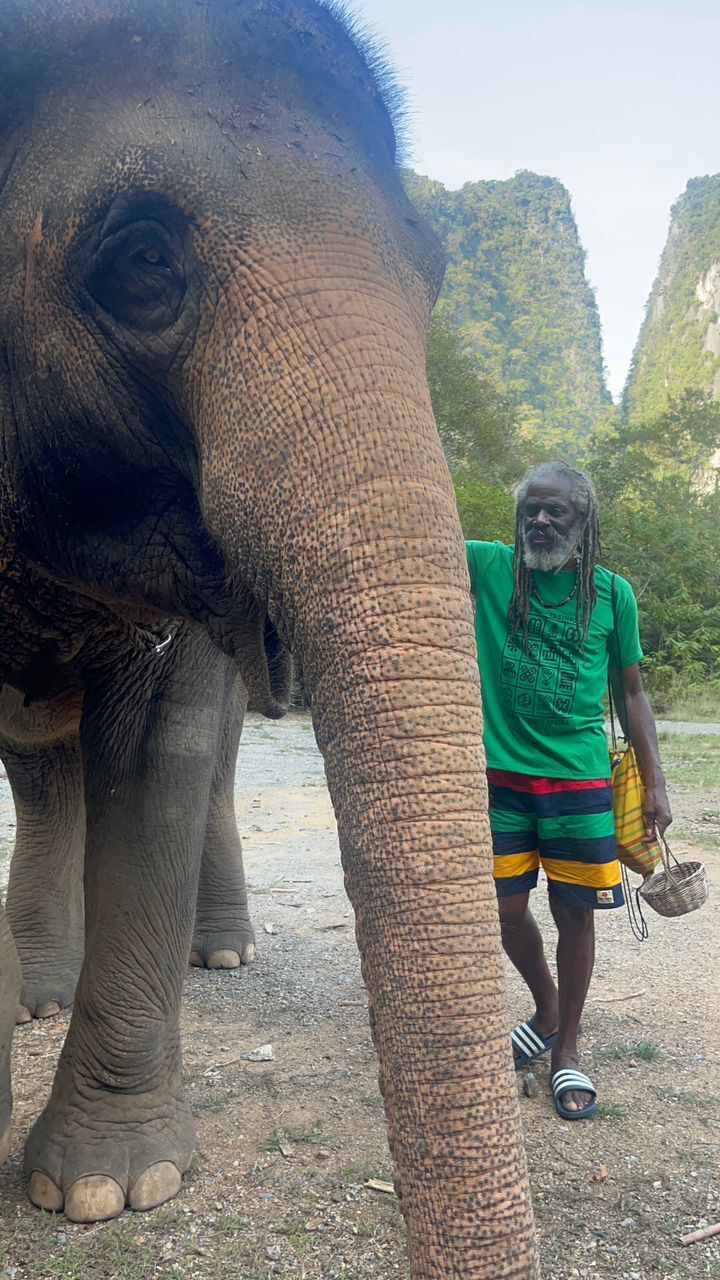 The Fire, the Silence, and the Long Road Home